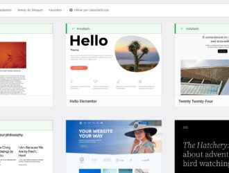 Cómo Elegir el Mejor Tema para tu Web WordPress: Guía para No Diseñadores